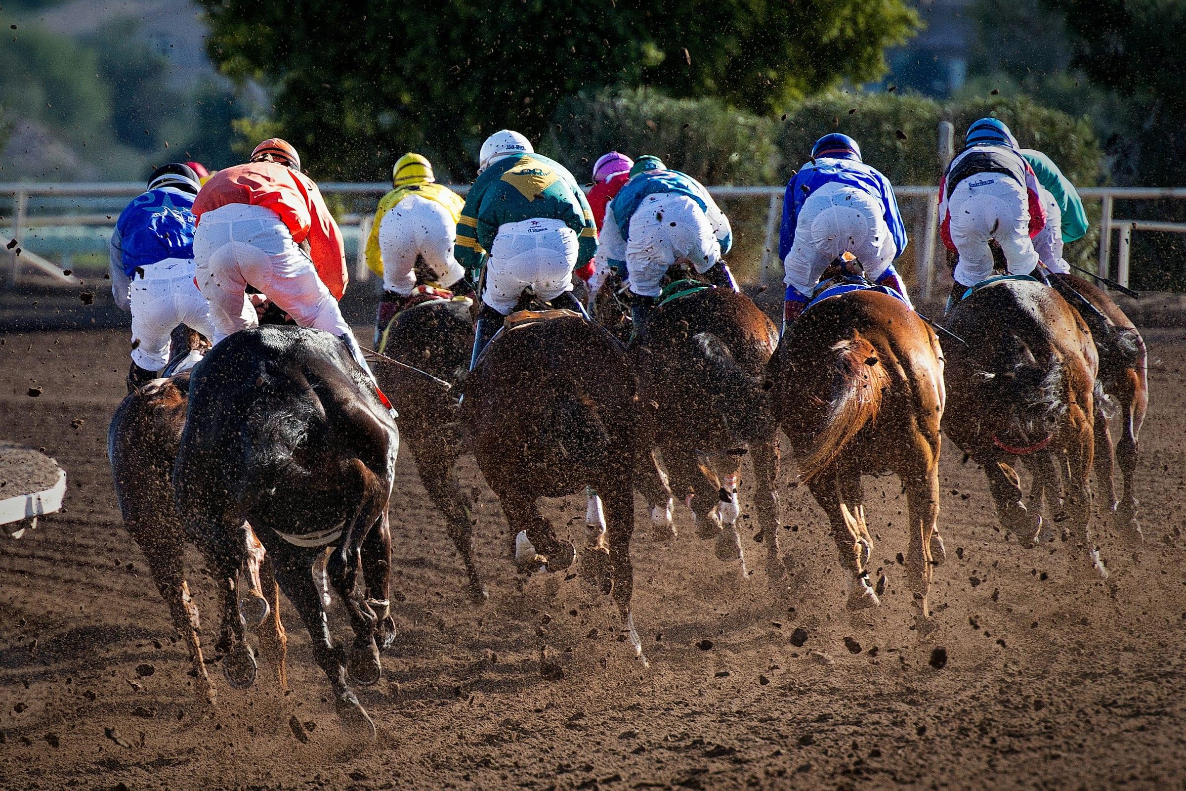 A field of thoroughbreds at full stride on a dirt track, ground thrown up behind them.