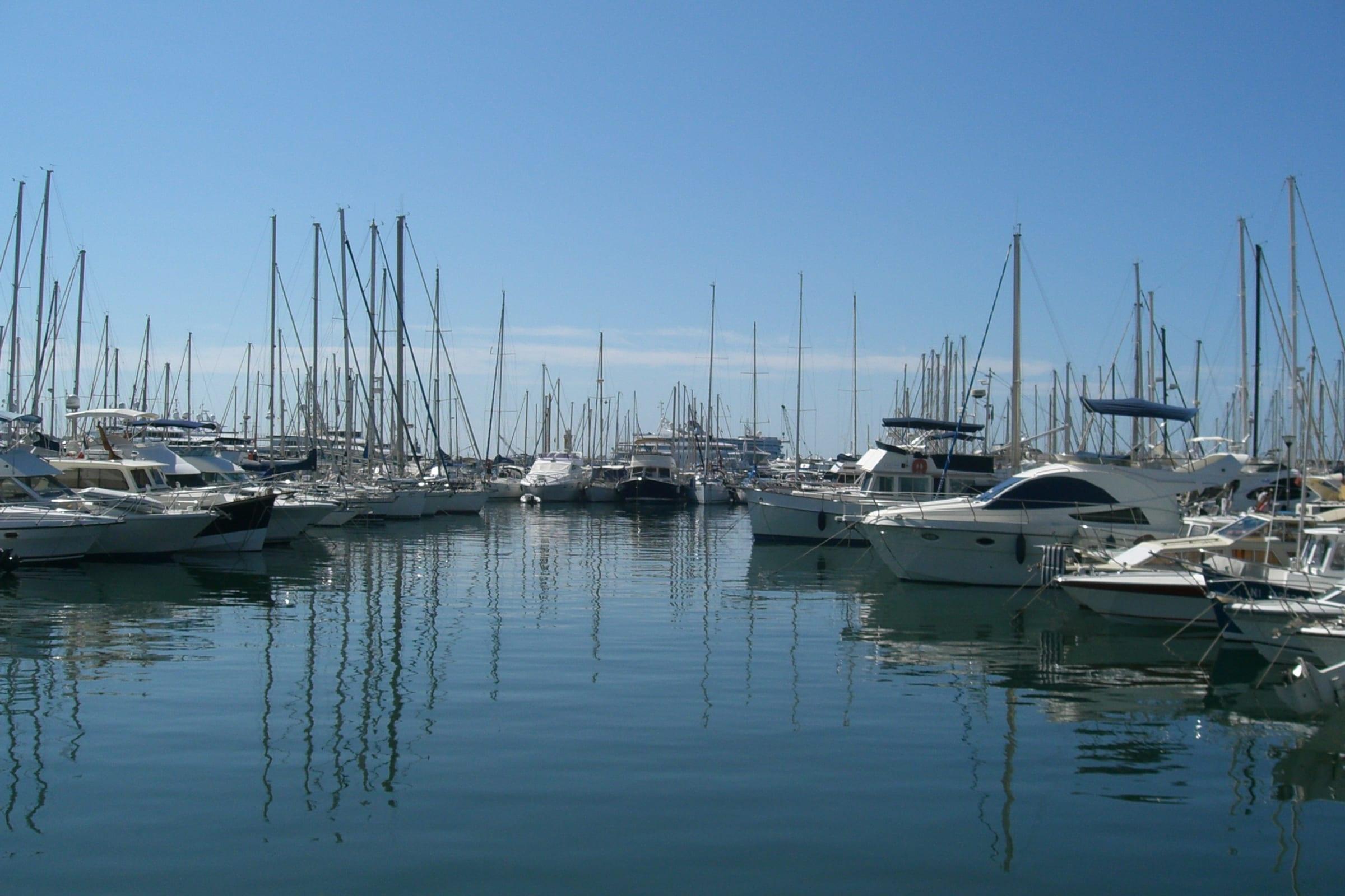 Motor yachts and sailing boats moored in Cannes harbour under a wide sky.